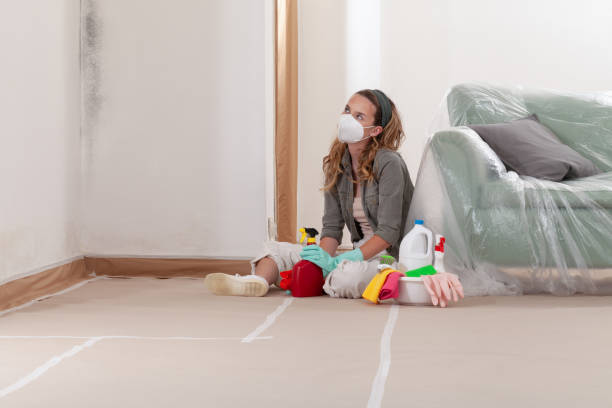 Trusted Mold Remediation service in Huntly, VA - Cheap Mold Removal